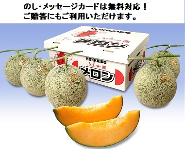 贈答用北海道メロン | 産直通販の富良野KANO FARM
